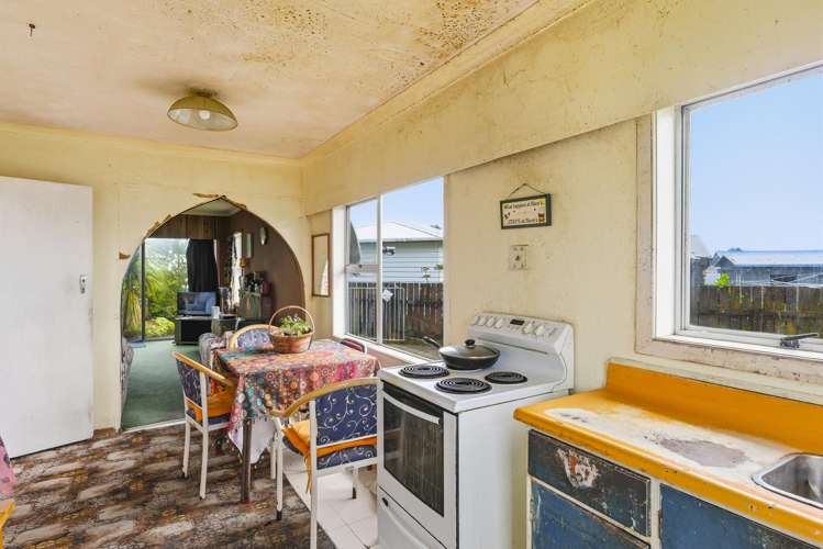 15 Ross Street Levin_5