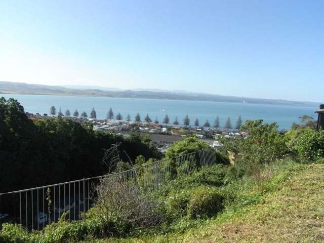 12a Roslyn Road Bluff Hill_4