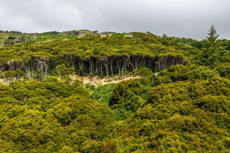 226 Middle Road Pigeon Bay_15