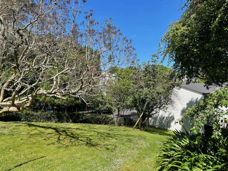 6/58 Wellington Street Freemans Bay_11