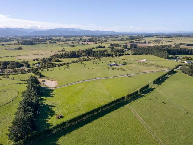 Phelps Way Morisons Bush_3