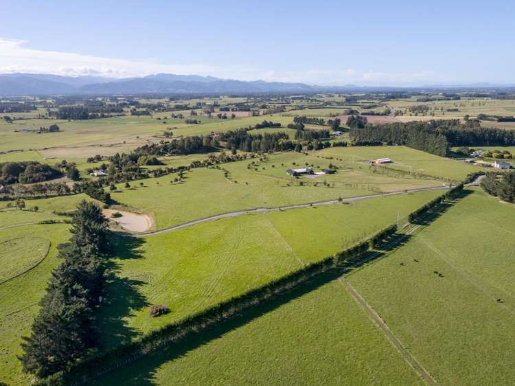 Phelps Way Morisons Bush_3