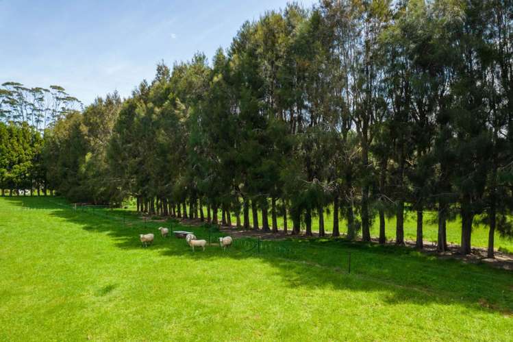 19 Valencia Lane Kerikeri_20