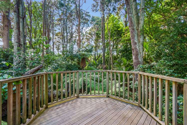 42 Collie Street Hillpark_9