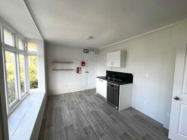 412 Richmond Road Grey Lynn_2