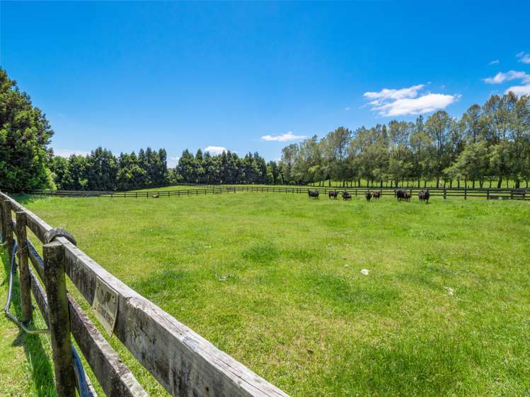 857 Mclaren Falls Road Kaimai_31