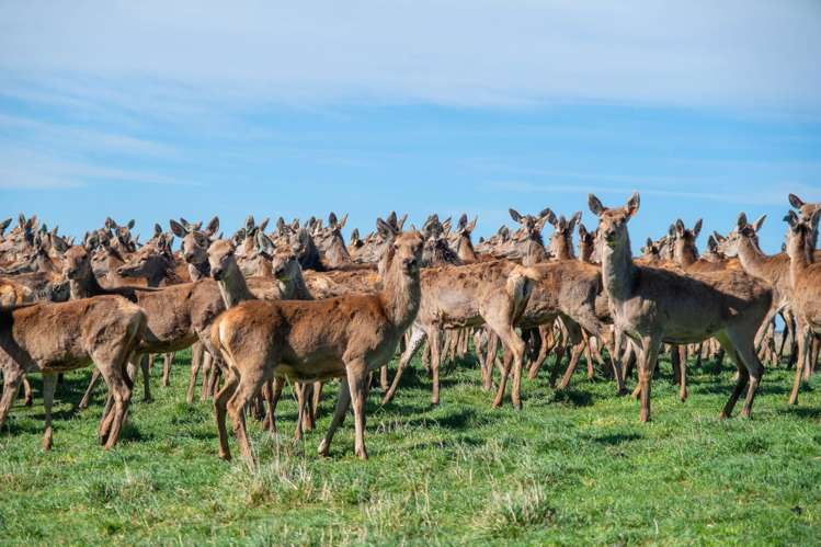 17 Timewell Road Hazelburn_13