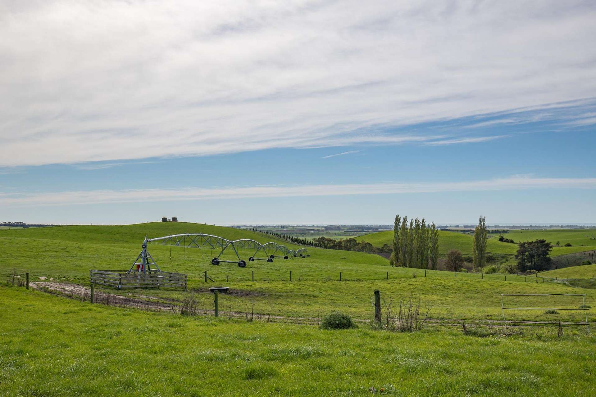 809 Gum Tree Flat Road Waimate_0