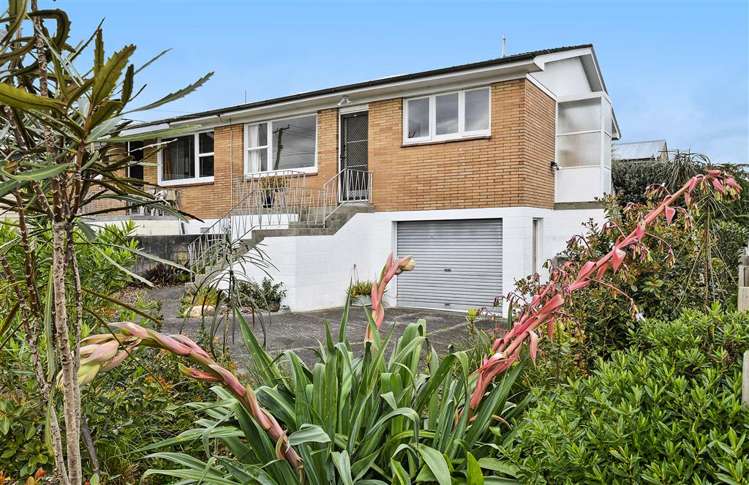 31a Walsall Street Avondale_0