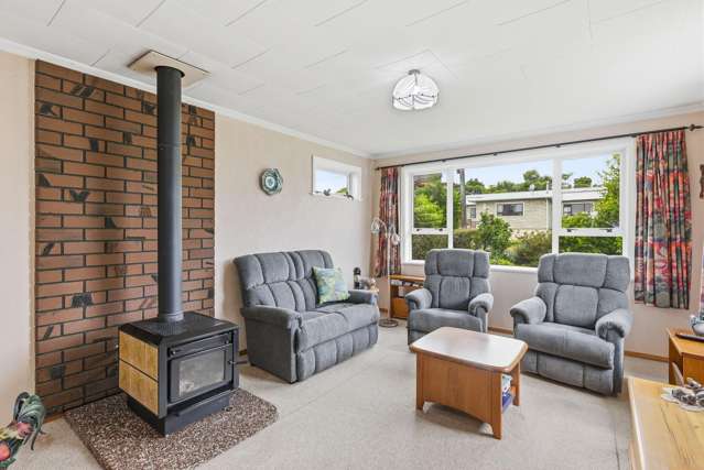 9 Chester Street Levin_1