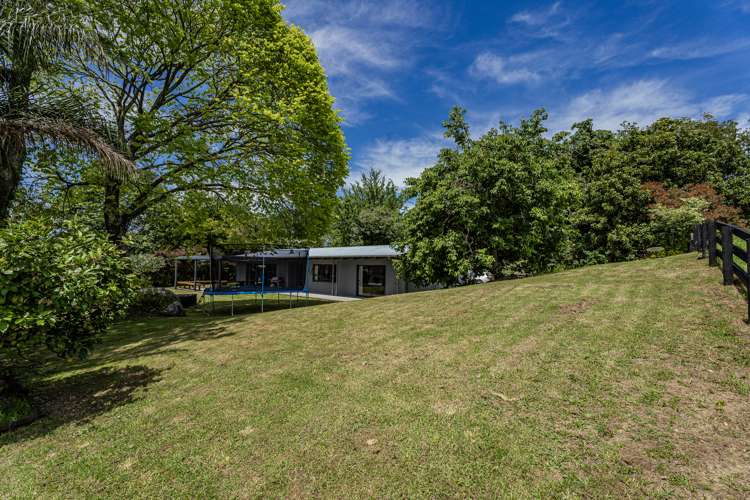 89 Purangi Road Purangi_17