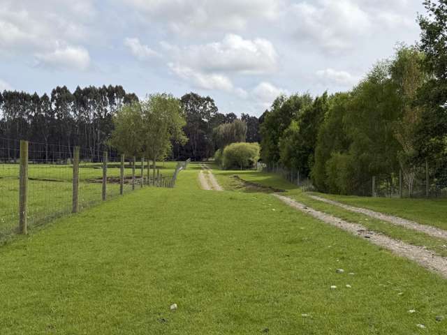 1148 Blackmount Redcliff Road Te Anau_3