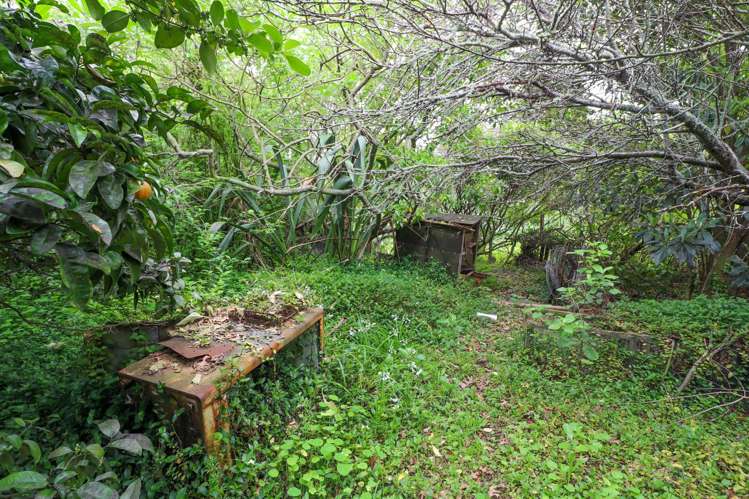 111 Currie Street Thames_6