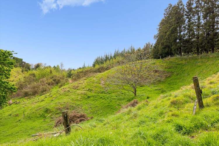 1538 State Highway 2 Whakamarama_33