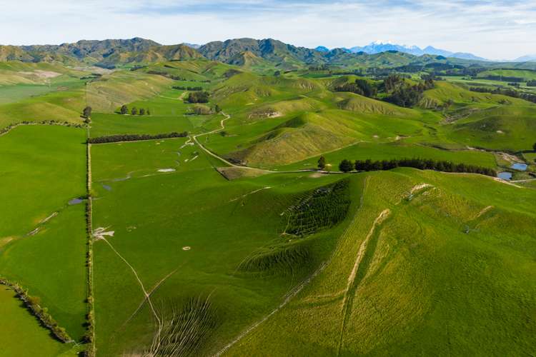 Marama Road Seddon_10