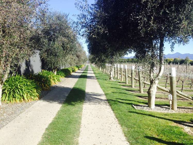 24 Gee Street Renwick_18