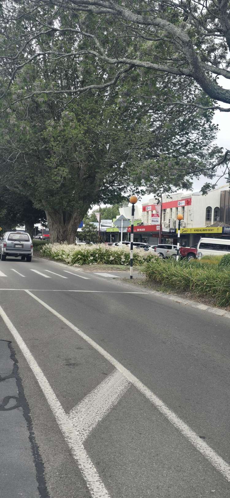 50B Moehau Street Te Puke_9