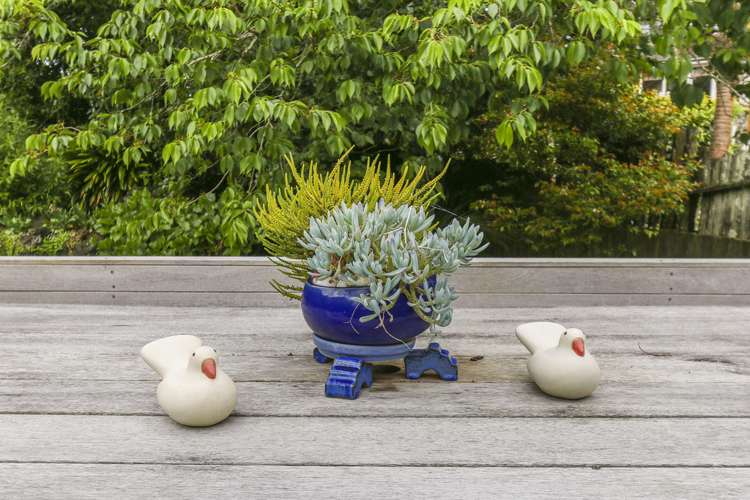 84a Landscape Road Mount Eden_19