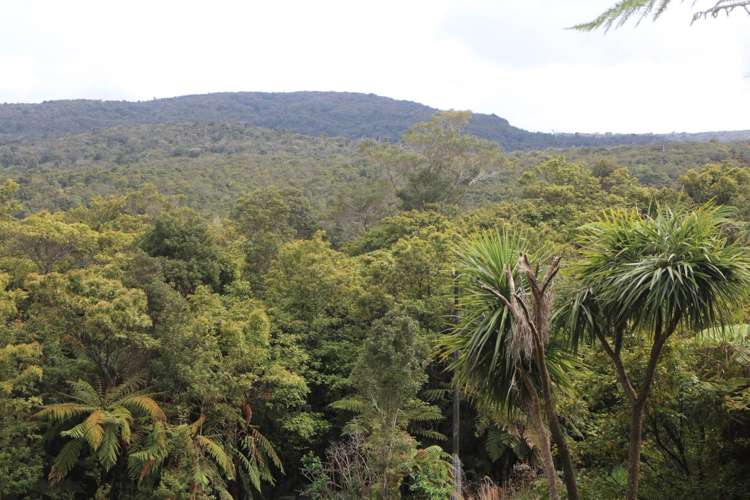 Opouteke Road Dargaville Surrounds_3