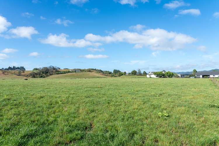 352 Bedford Road Te Kowhai_3