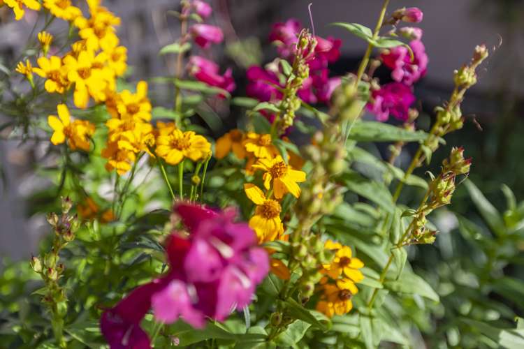 15 Tiromoana Road Raumati South_24