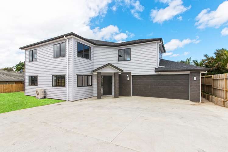 17a Harrington Road Henderson_1
