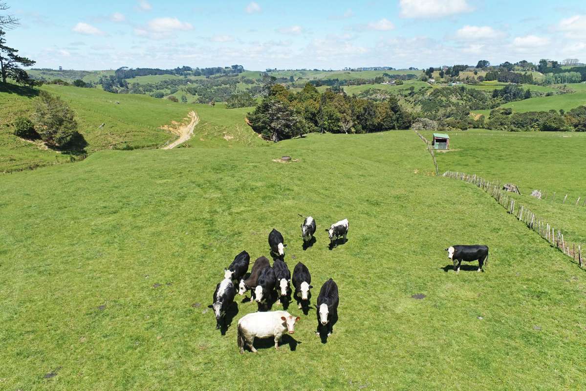 357 Onewhero-Tuakau Bridge Road_5