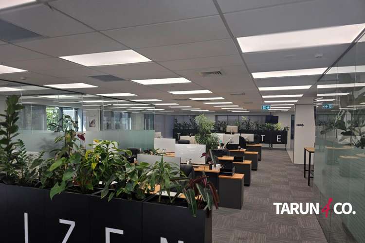 110 Symonds Street_0