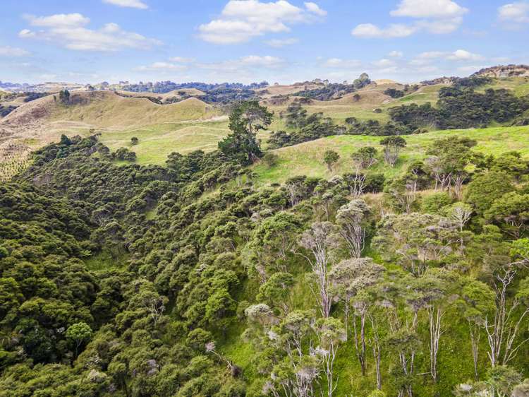 2368 Wairamarama Onewhero Road Glen Murray_18