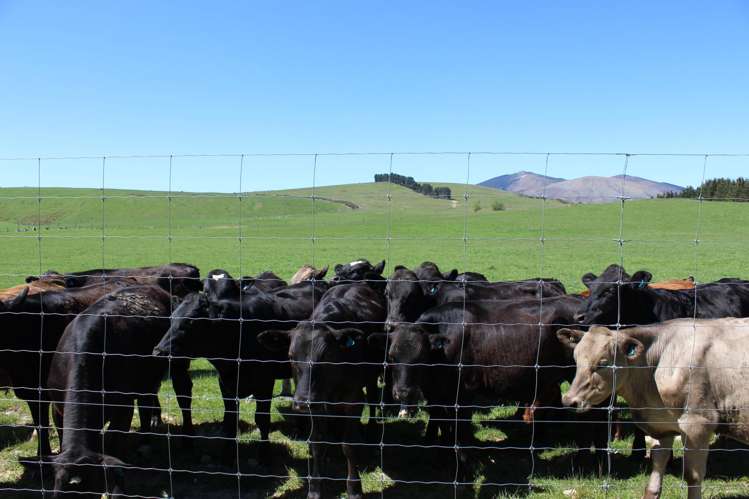 102 Talbot Road Te Anau_8