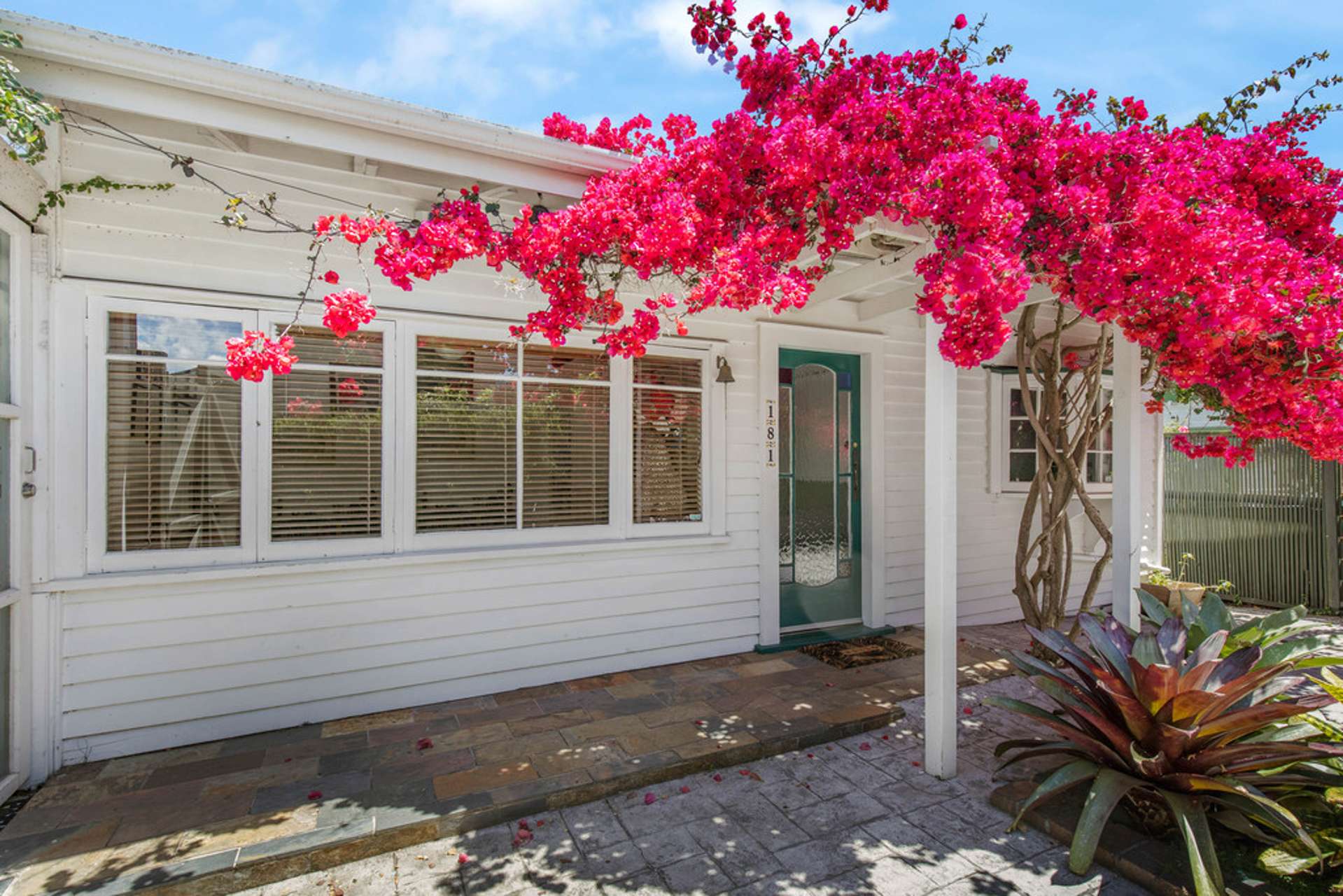 181 Carrington Road Mount Albert_0