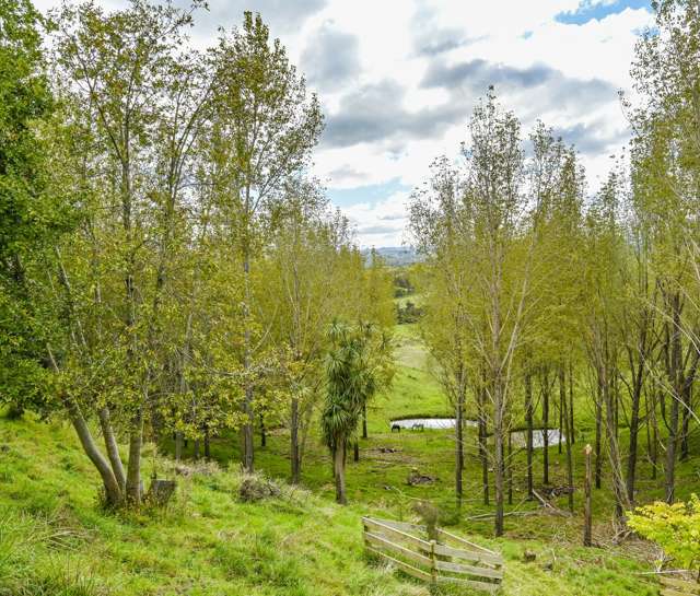 608 Apley Road Puketapu_2