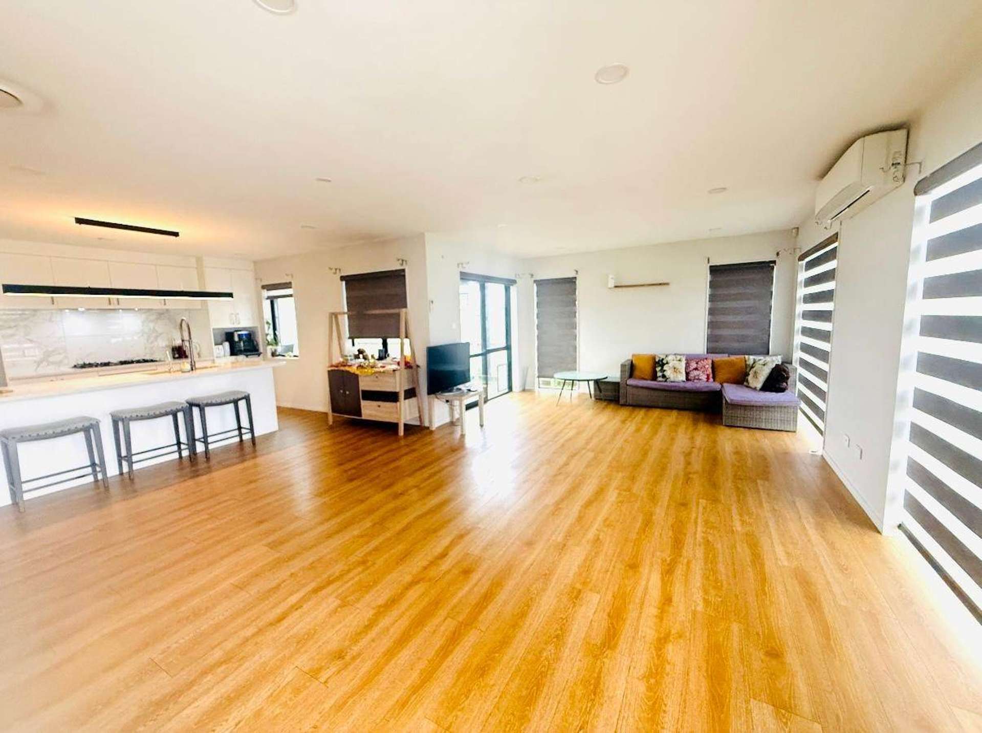 Silver Beech Street Takanini_0