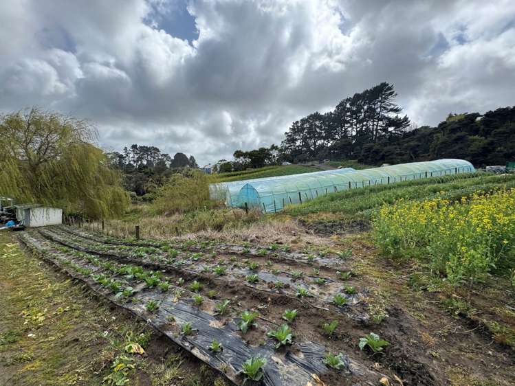 1755 South Head Road South Head_13