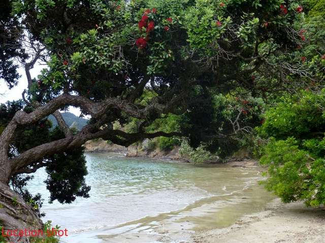 54 Ohawini Road Oakura_1