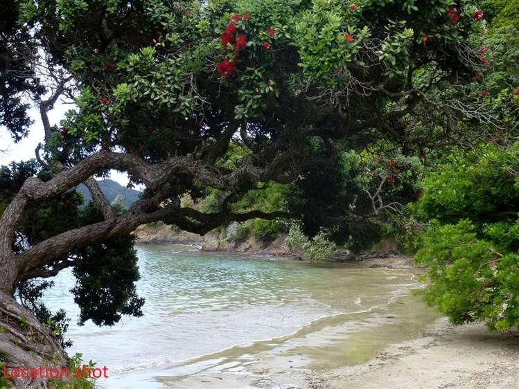 54 Ohawini Road Oakura_1