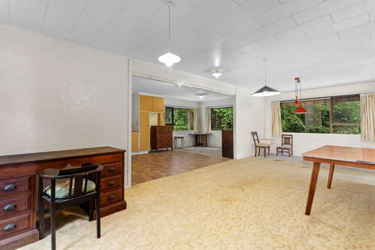 121 Reeves Road Opotiki and Surrounds_22