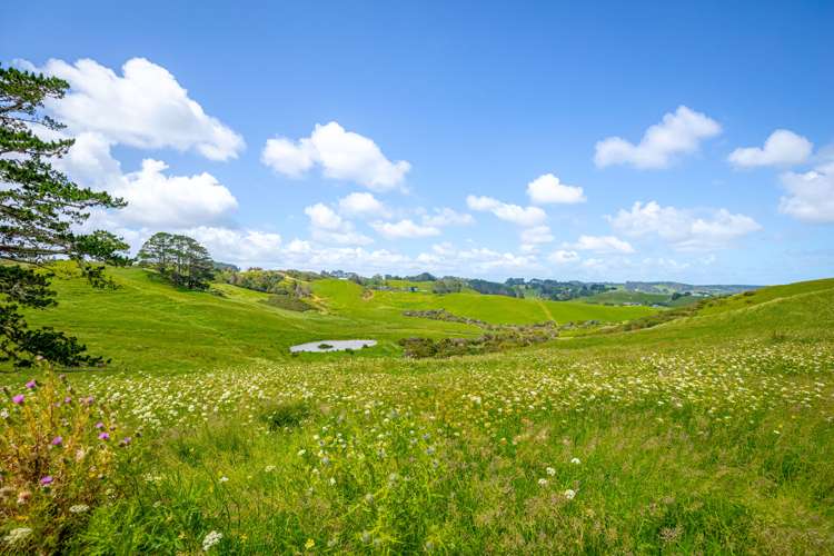 515 Kahikatea Flat Road Waitoki_13