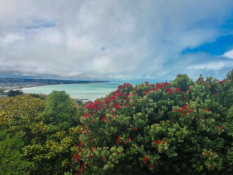 26 Brinkburn Street South Hill_25