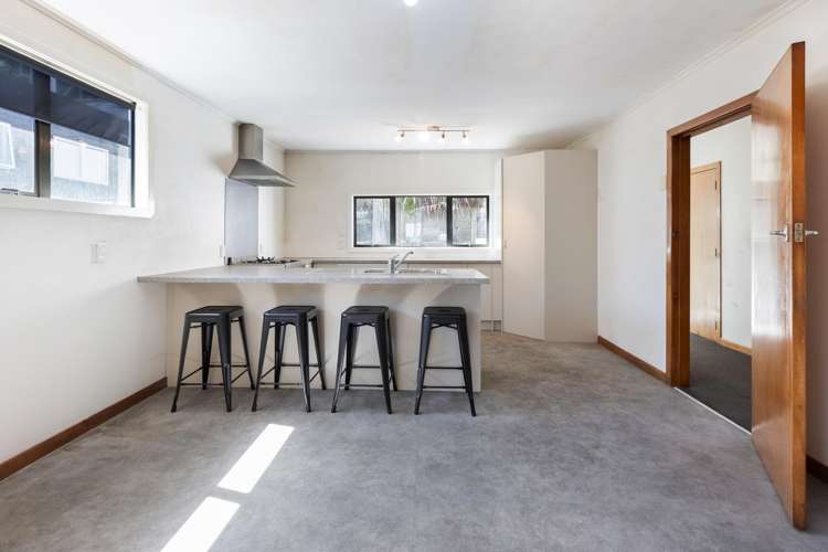 392 The Esplanade Island Bay_5