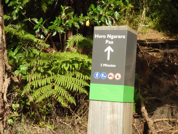 6 Ryan Road Te Akau_19