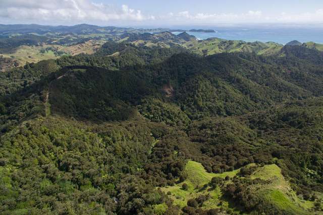 1482 Matapouri Road Matapouri_1