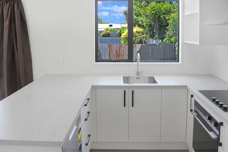 176d Mcgregors Road Linwood_8