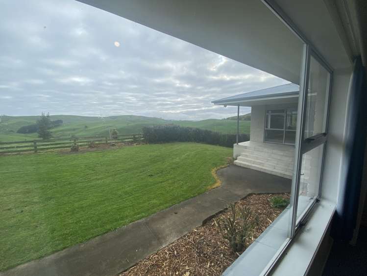 499A Tahuroa Road Morrinsville_20