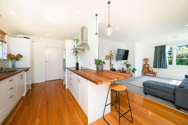 140 Rangiora Avenue Roslyn_4