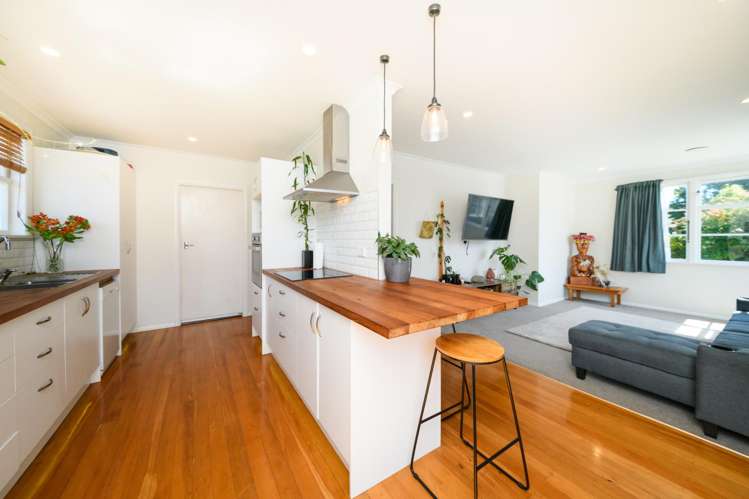 140 Rangiora Avenue Roslyn_4