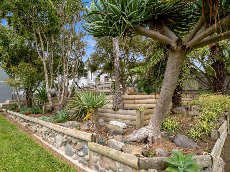 17 Argyle Avenue Levin_26