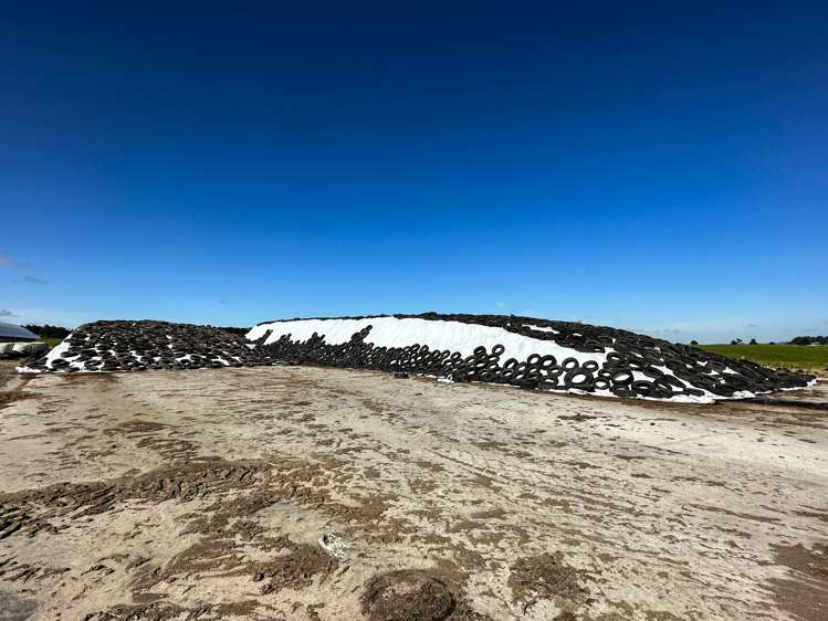 50 Mill Road Gore Surrounds_8