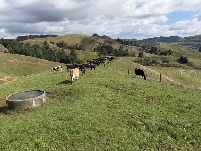 1026 Limeworks Loop Road Karamu_2