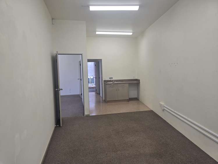 96 White Street Fenton Park_4